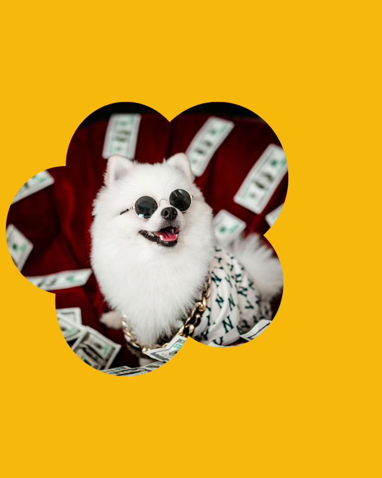 Paid Ads: Καμπάνιες σε Meta, Google & TikTok που Φέρνουν Αποτέλεσμα